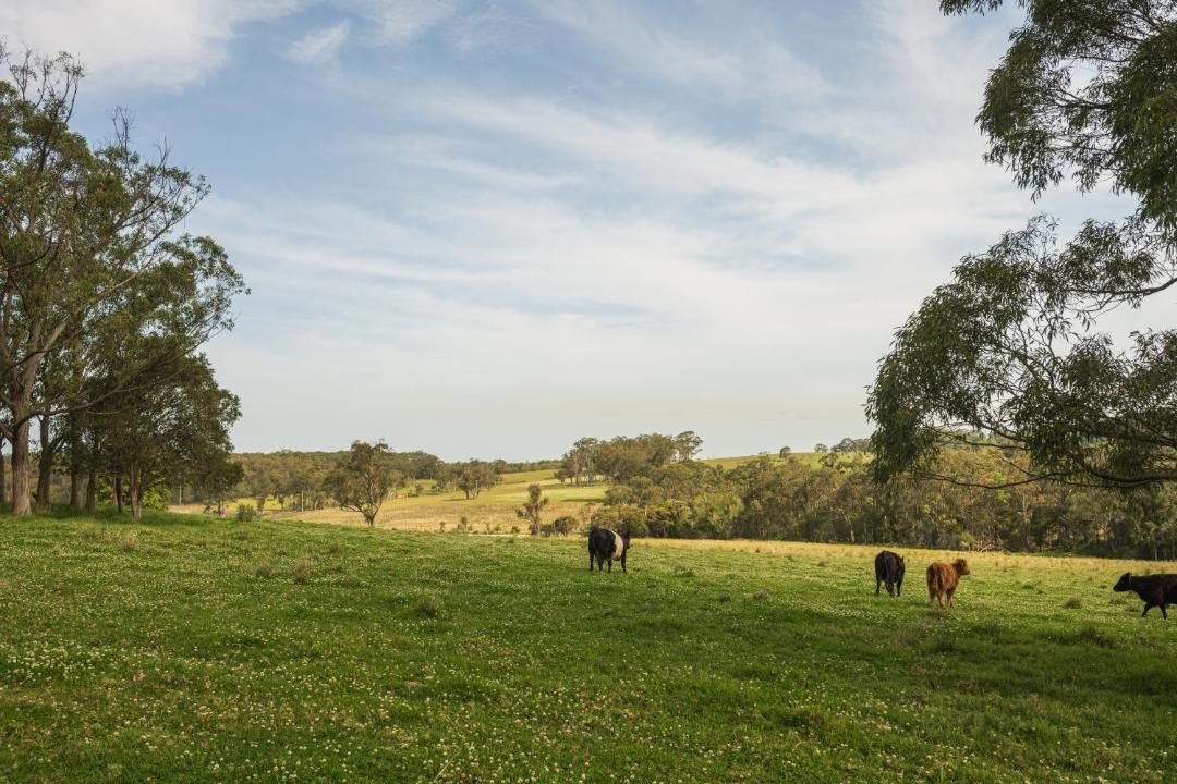 Photo of Others in Cooranbong