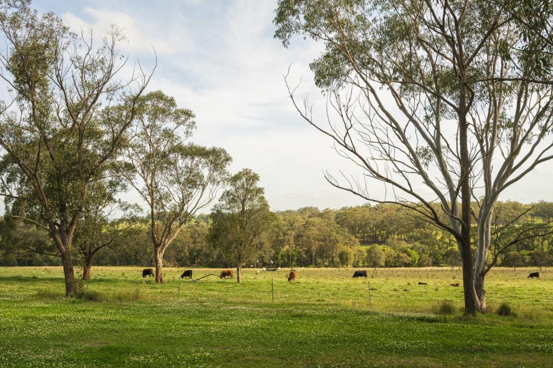 Photo of Others in Cooranbong