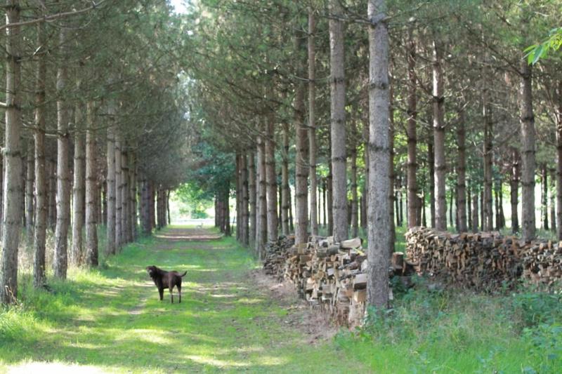 Photo of Others in Deneze-sous-le-Lude