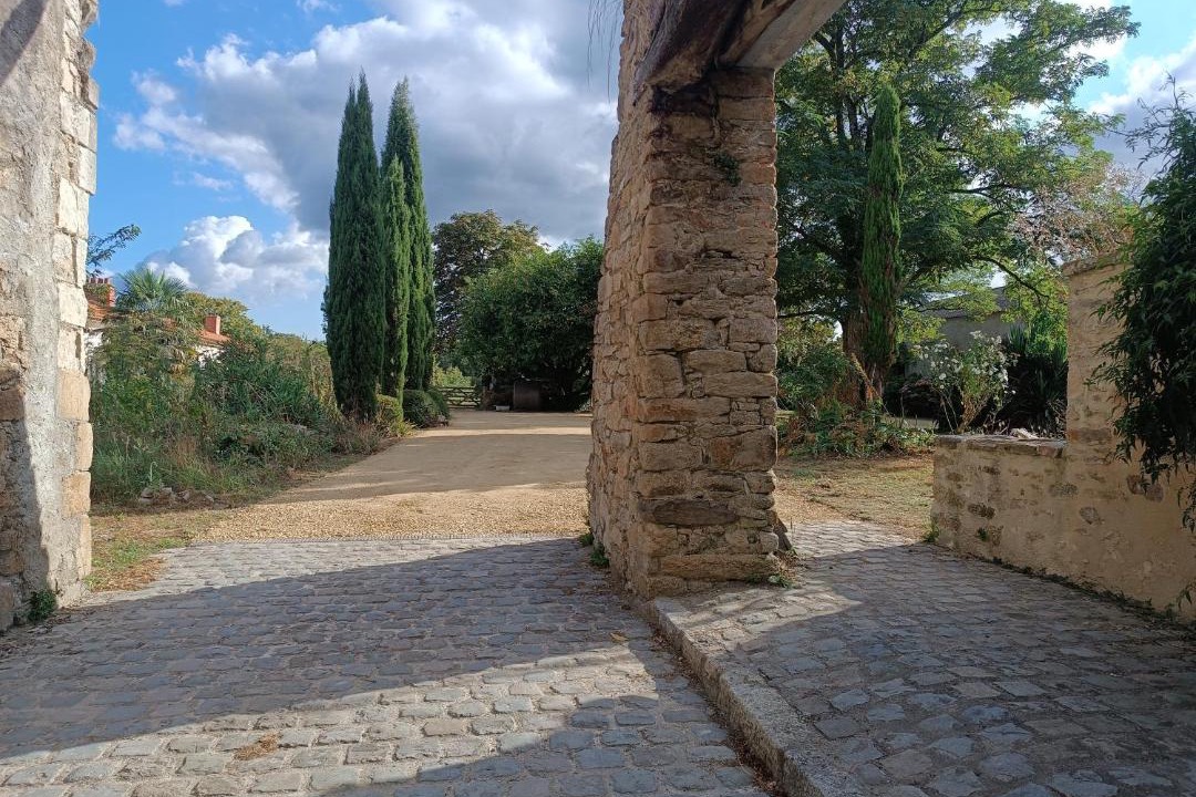 Photo of Others in Chateau-Thebaud