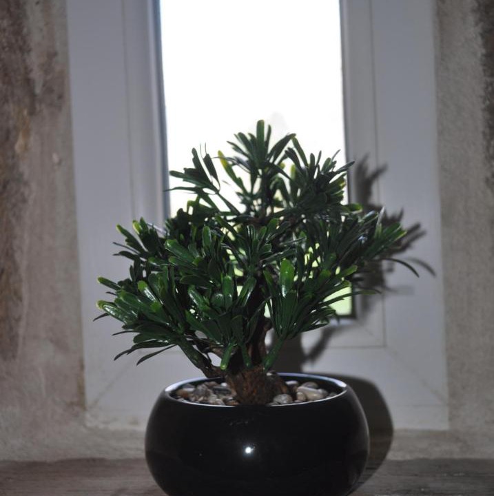 Photo of Others in Saint-Marc-a-Frongier