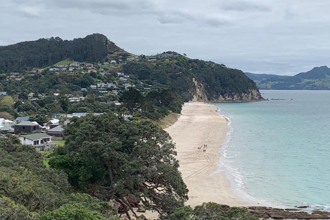 Photo of Others in Hahei