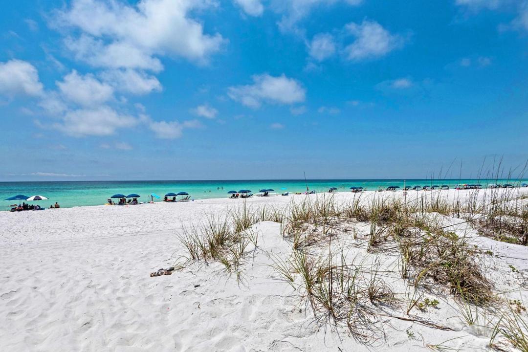 Photo of Others in Miramar Beach