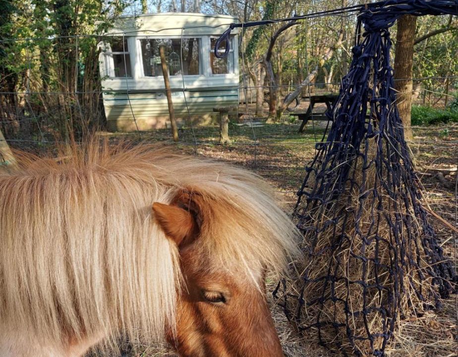 Photo of Others in Ewhurst Green