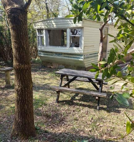 Photo of Others in Ewhurst Green