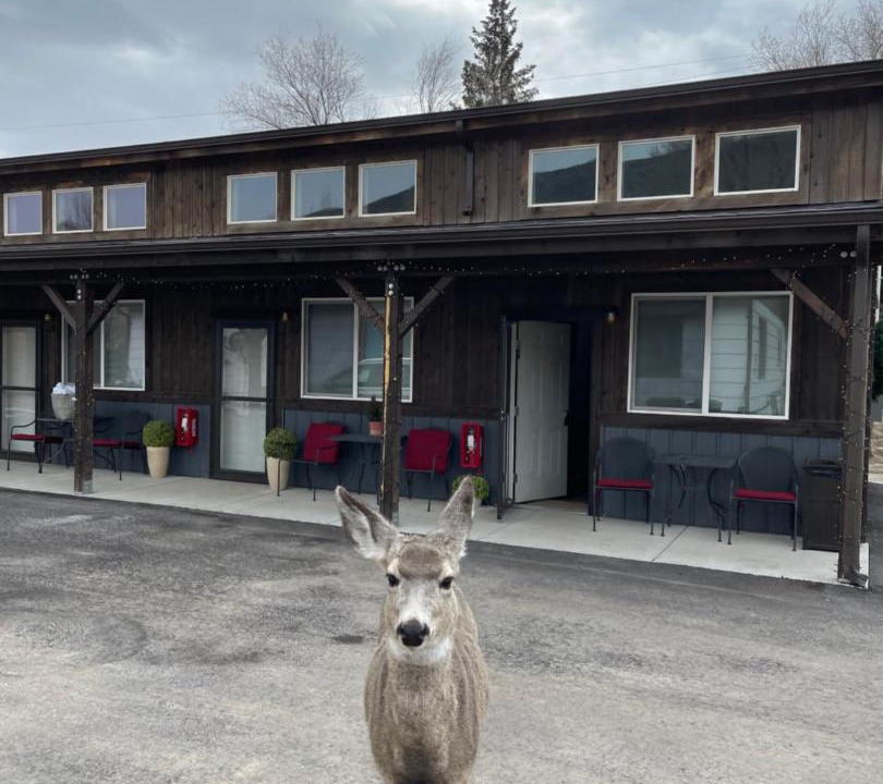 Photo of Others in Gardiner