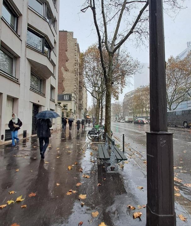 Photo of Others in Notre-Dame-des-Champs