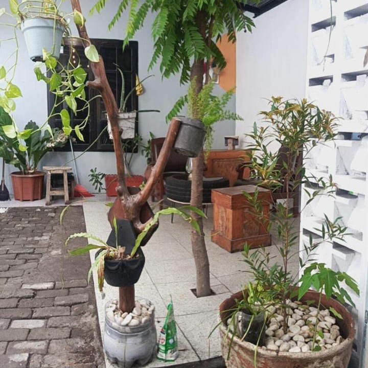 Photo of Others in Sewon