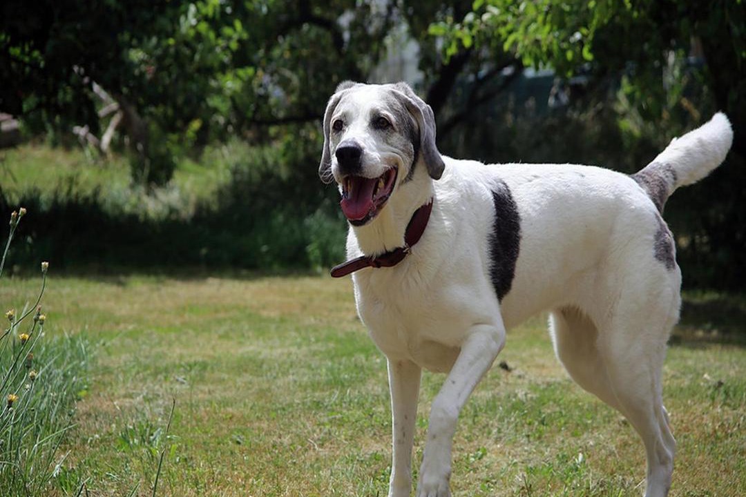 Photo of Others in Betschdorf