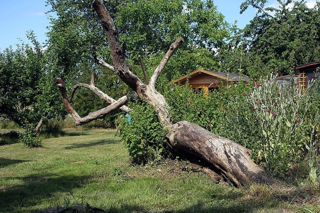 Photo of Others in Betschdorf