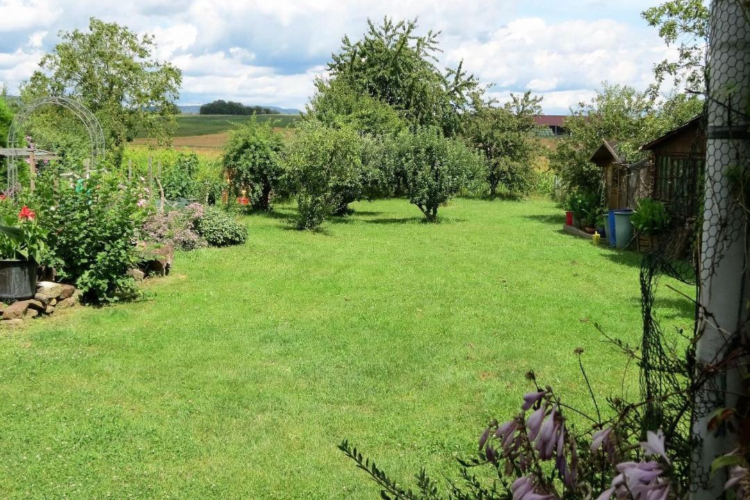 Photo of Others in Betschdorf