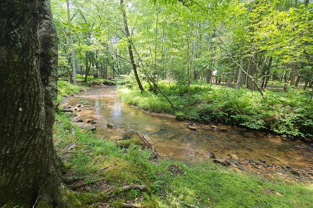 Photo of Others in Dial