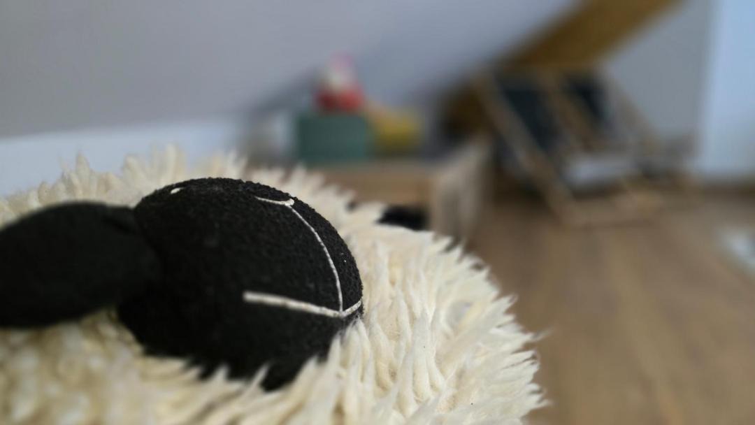 Photo of Others in La Mongie