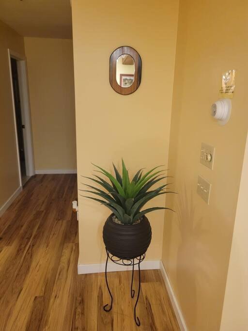 Photo of Others in Mendon