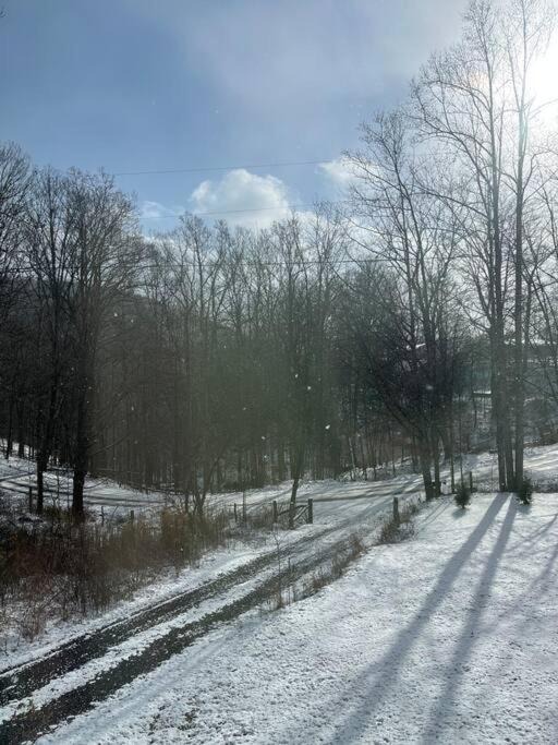 Photo of Others in Allegheny Mountains