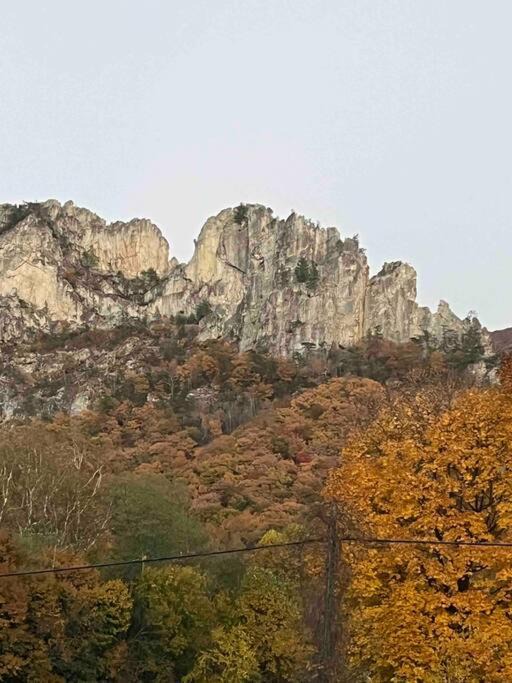Photo of Others in Allegheny Mountains