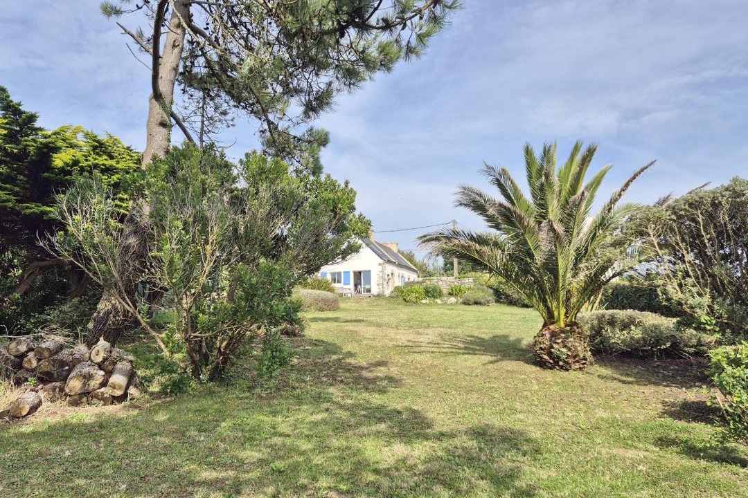 Photo of Others in Primelin