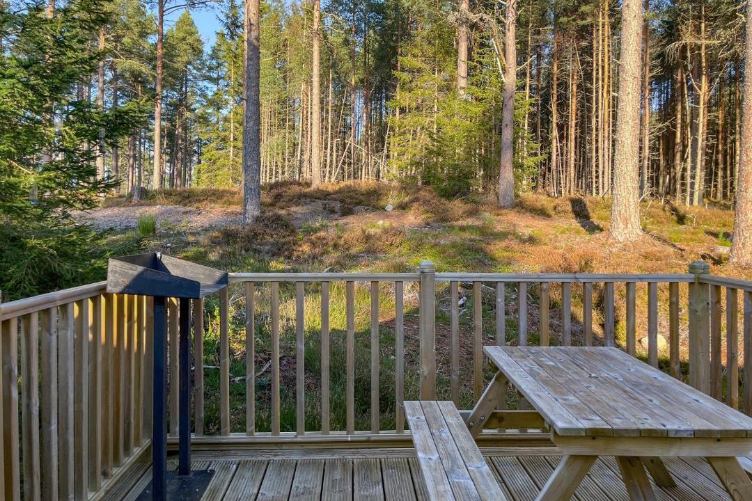 Photo of Others in Logie Coldstone