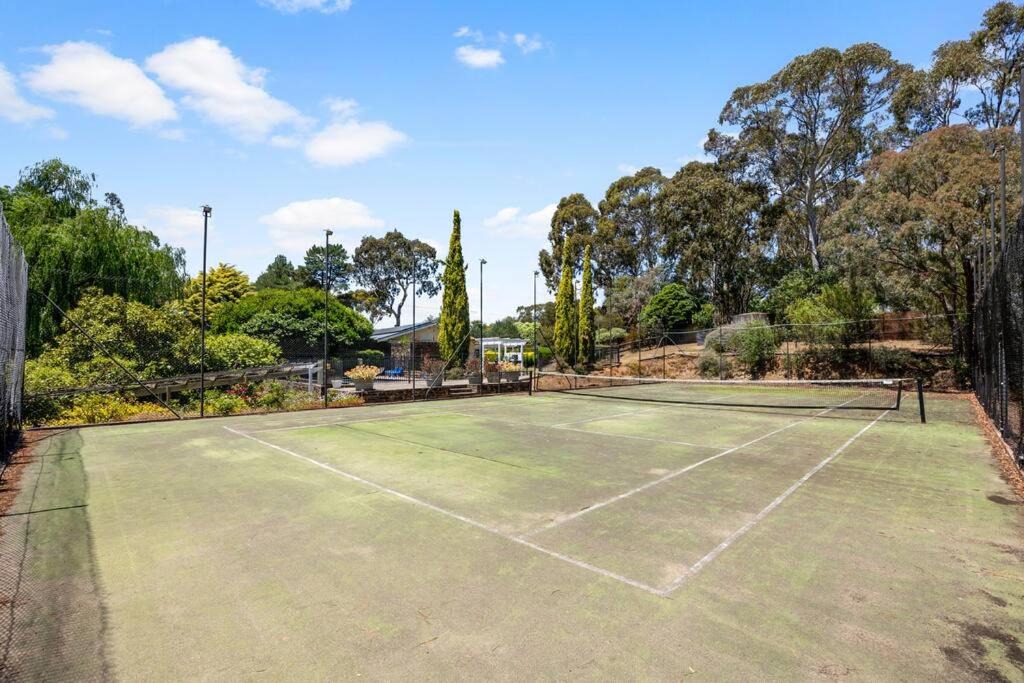 Photo of Others in Paechtown