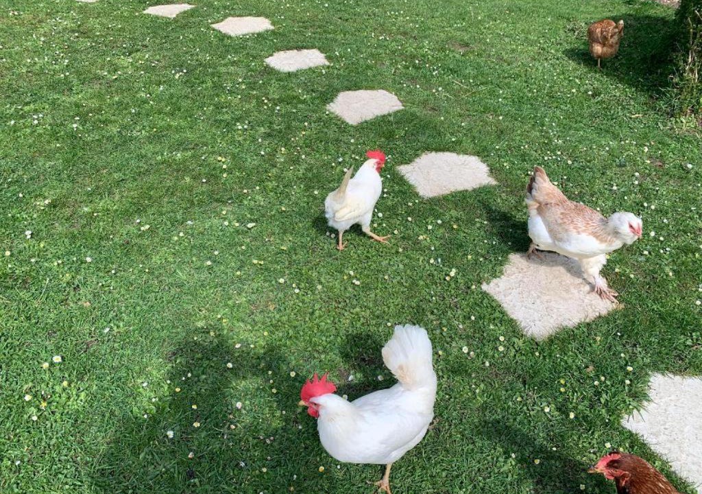 Photo of Others in Vimoutiers