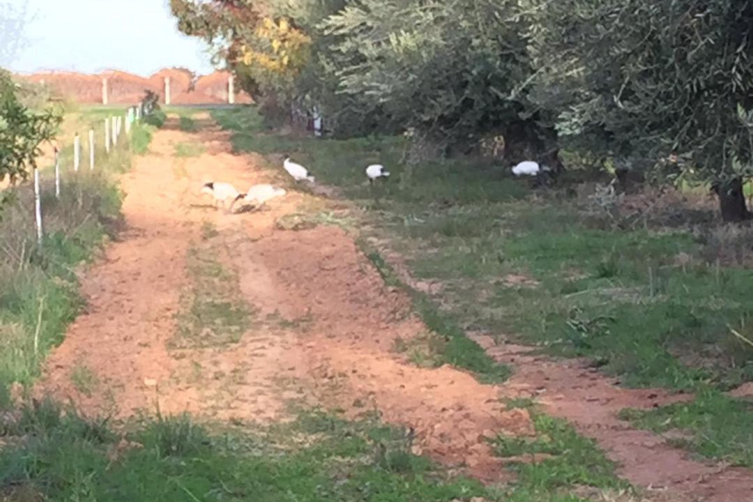 Photo of Others in Nichols Point