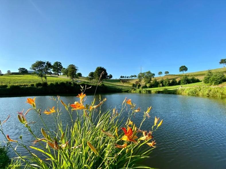 Photo of Others in Ferrieres-la-Verrerie