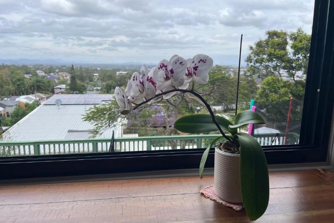 Photo of Patio Balcony in Rochedale South