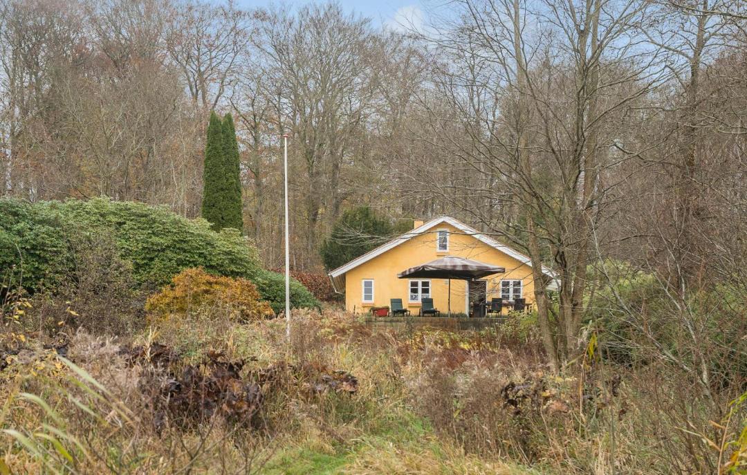 Photo of Others in Jelling