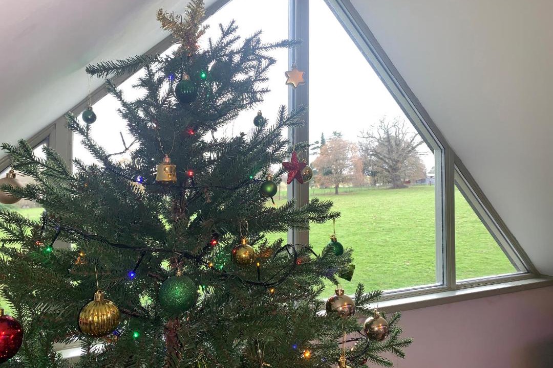 Photo of Others in Ludwel