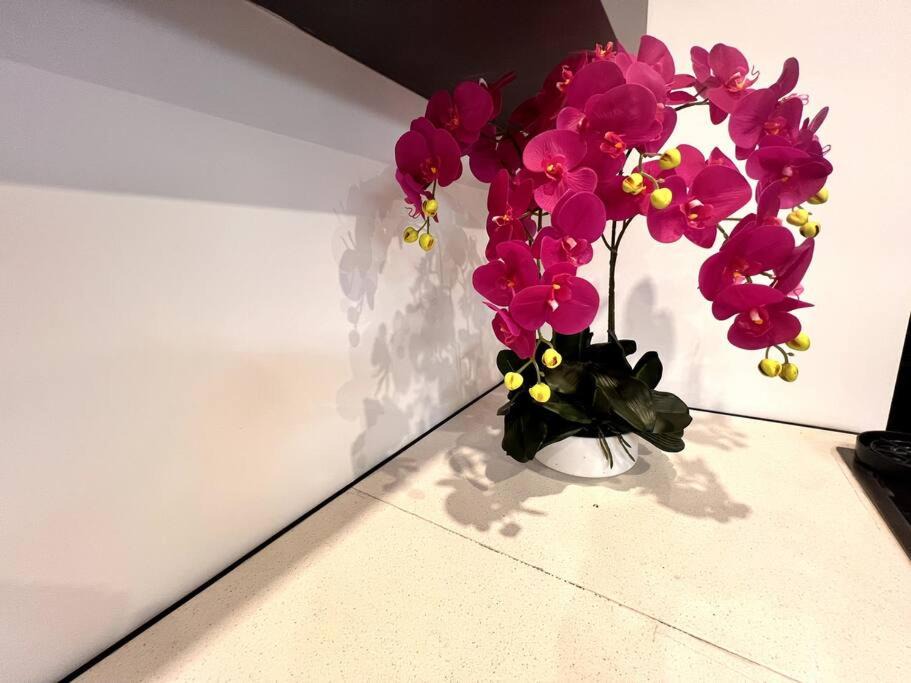 Photo of Others in Solihull