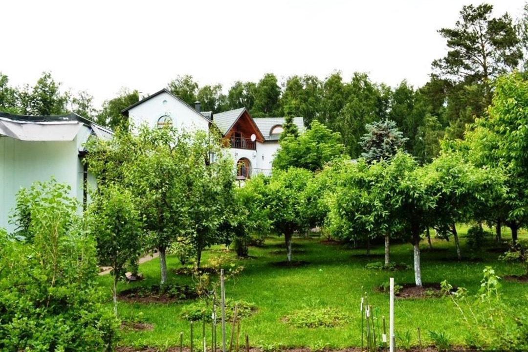 Photo of Others in Novo-Peredelkino