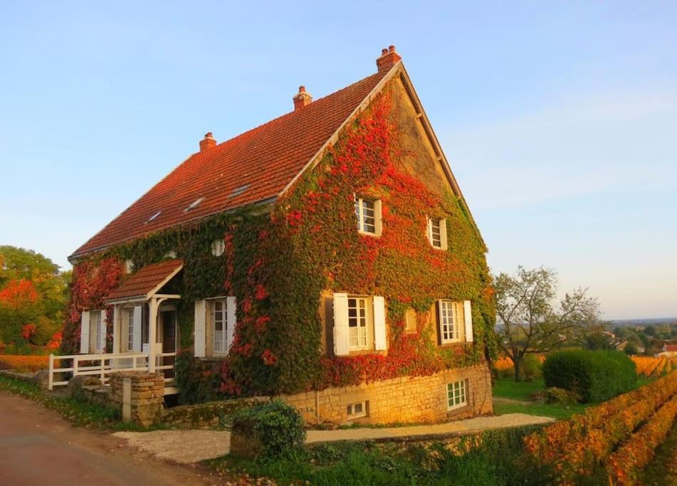 Photo of Others in Aloxe-Corton