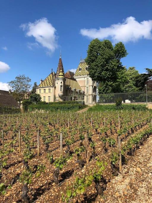 Photo of Others in Aloxe-Corton