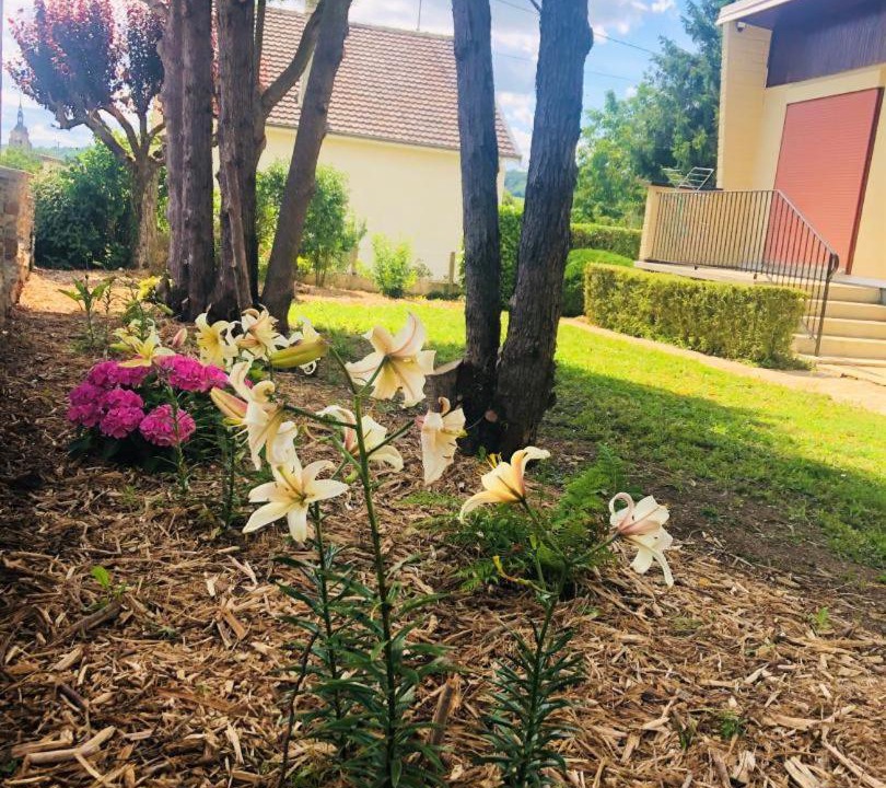 Photo of Others in Villenauxe-la-Grande