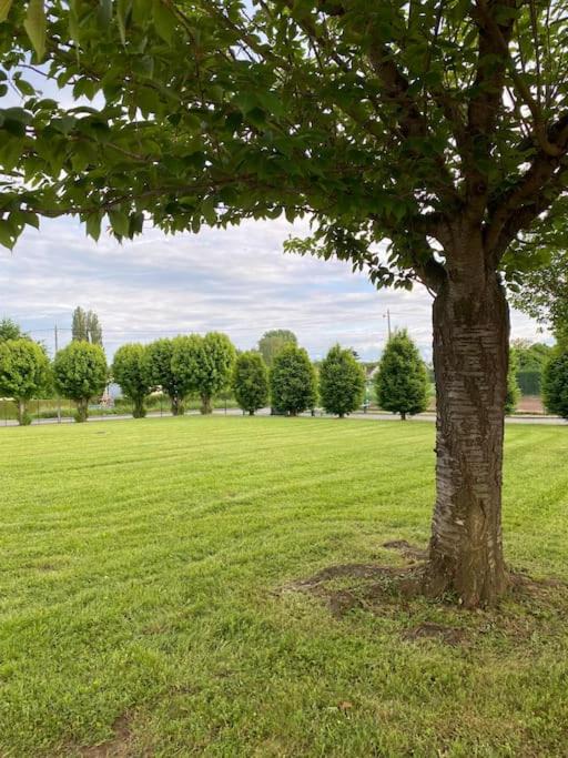 Photo of Others in Ribecourt-Dreslincourt