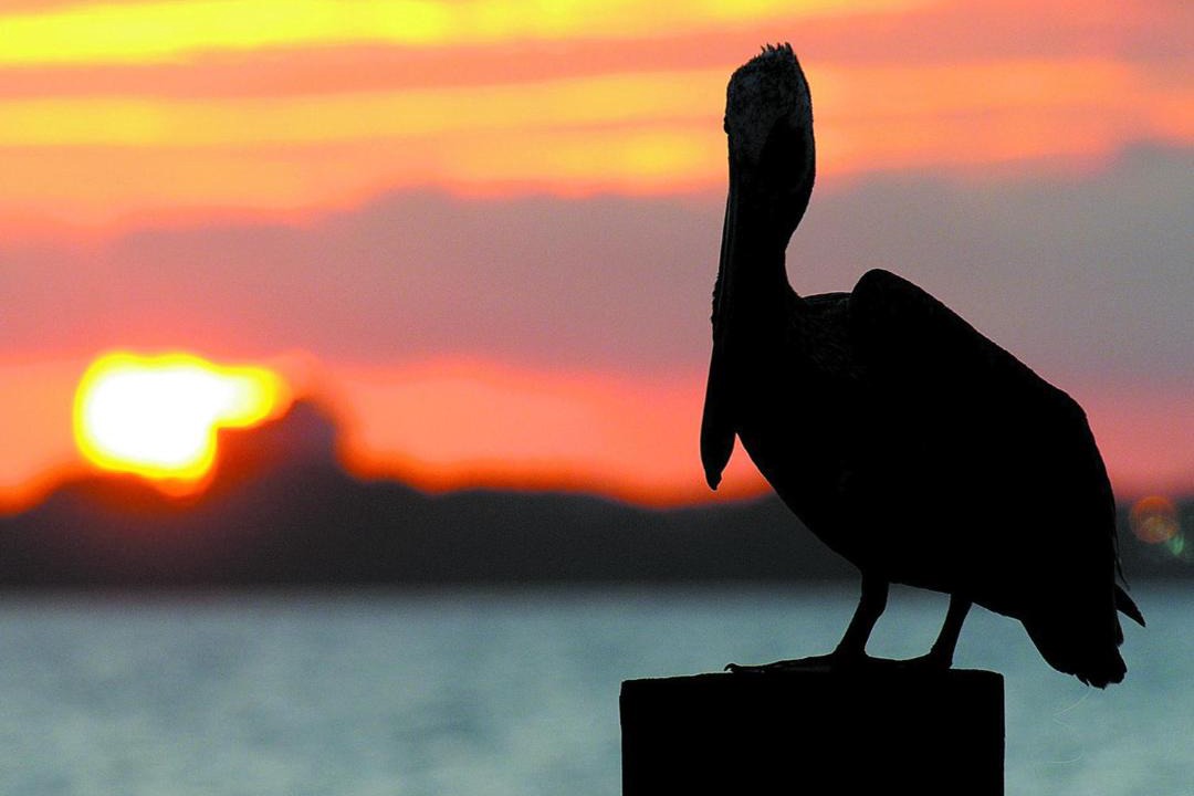 Photo of Others in Thomas Drive