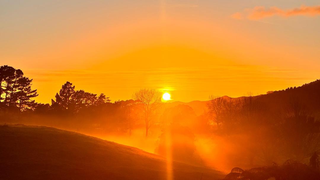 Photo of Others in Franklin District