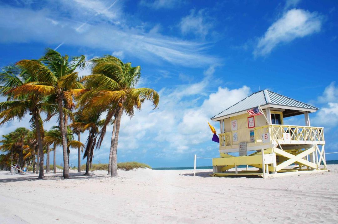 Photo of Others in Key Biscayne