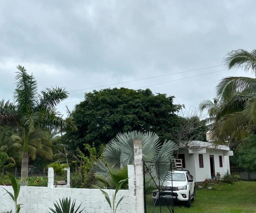 Photo of Others in Monte Gordo