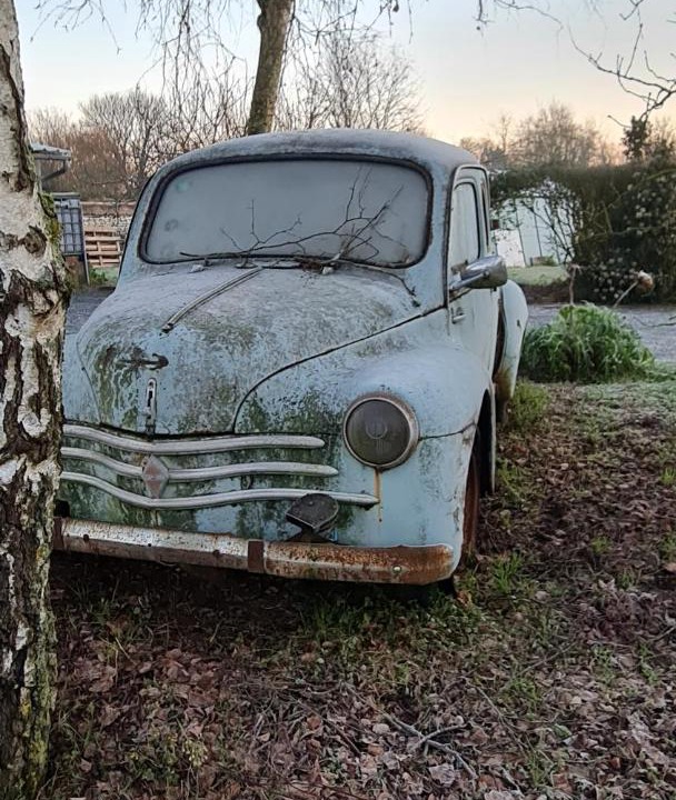 Photo of Others in Mirebeau