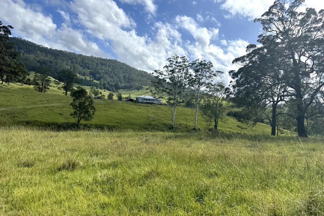 Photo of Others in Tyalgum Creek