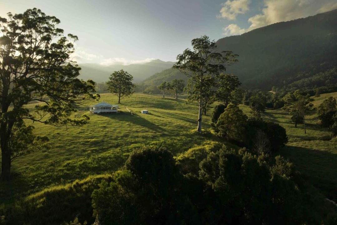 Photo of Others in Tyalgum Creek