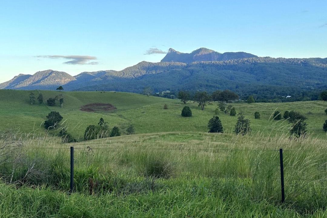 Photo of Others in Tyalgum Creek