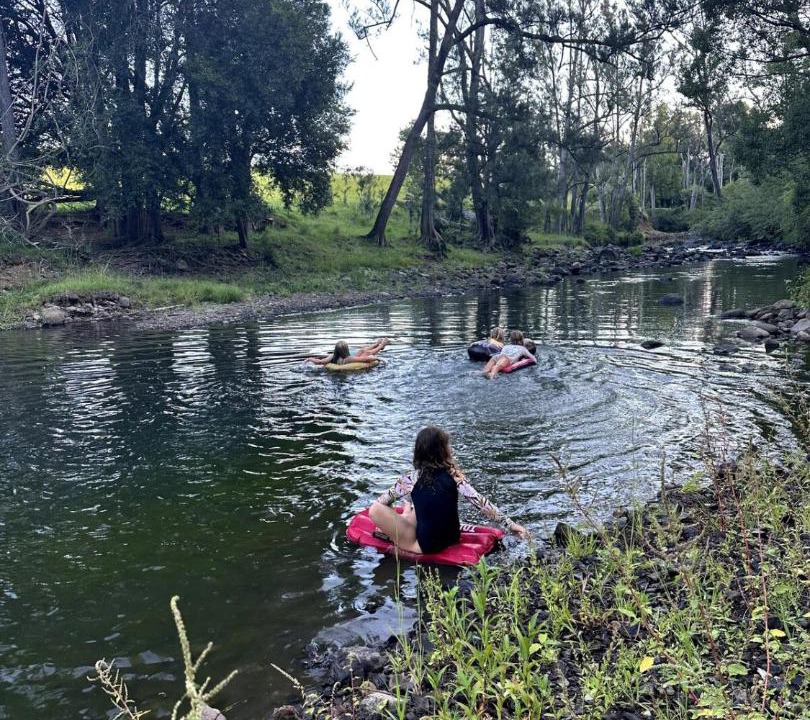 Photo of Others in Tyalgum Creek