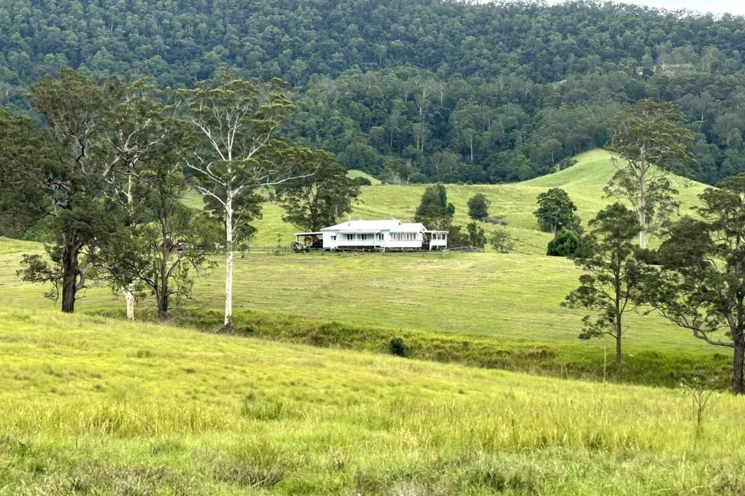 Photo of Others in Tyalgum Creek