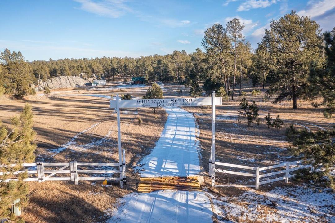 Photo of Others in Custer