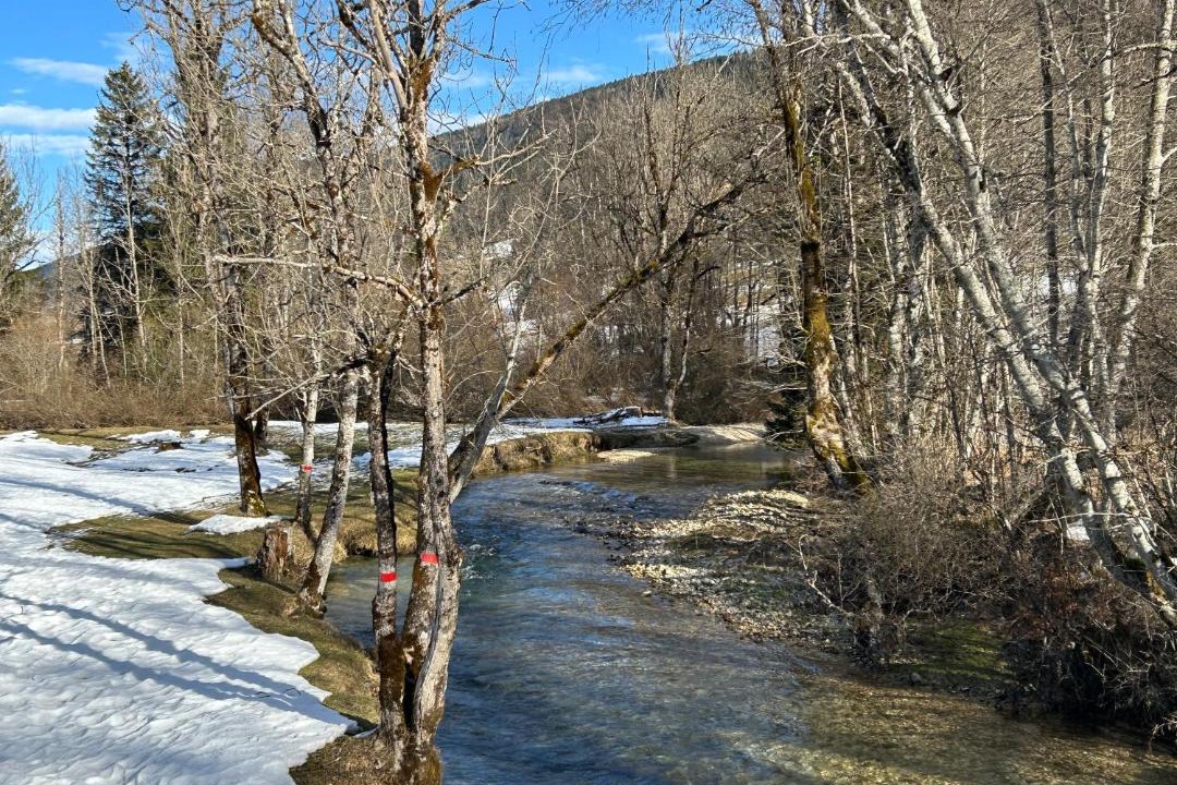 Photo of Others in Lelex