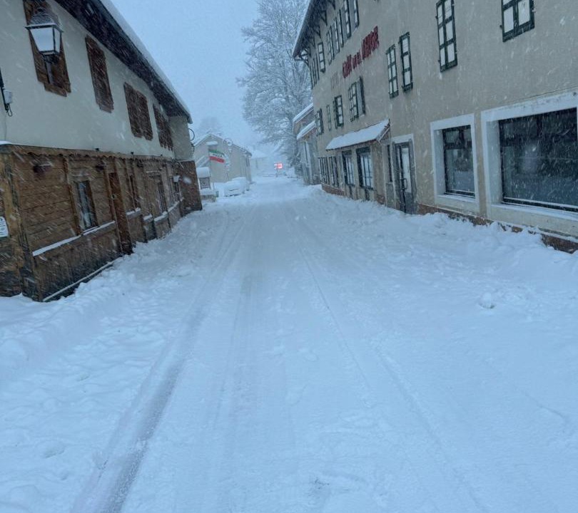 Photo of Others in Lelex