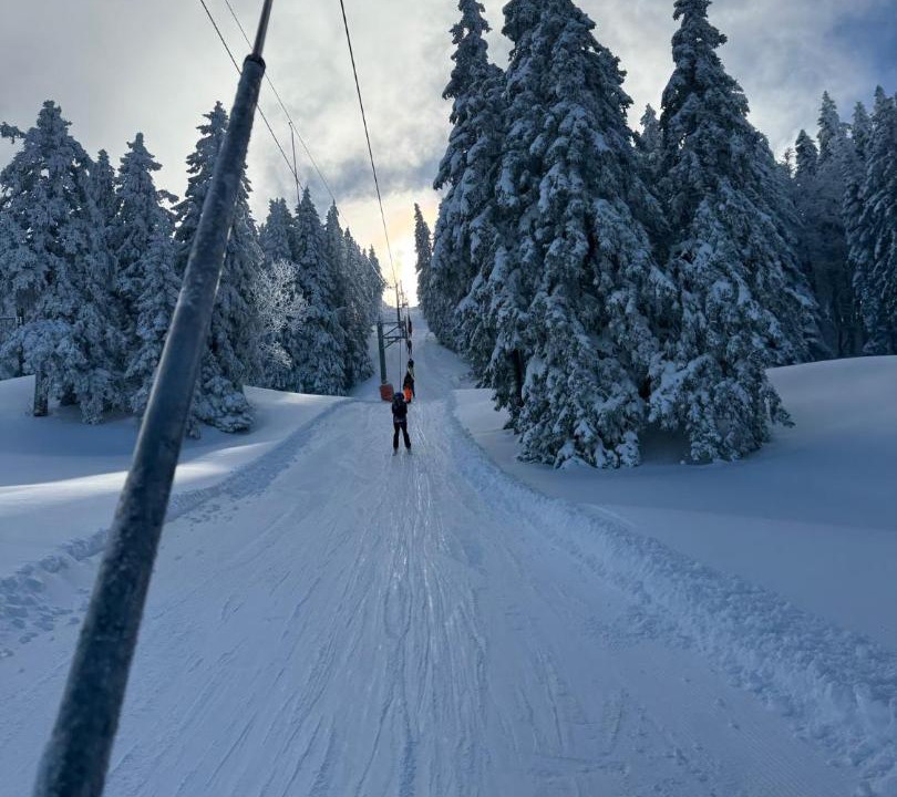 Photo of Others in Lelex