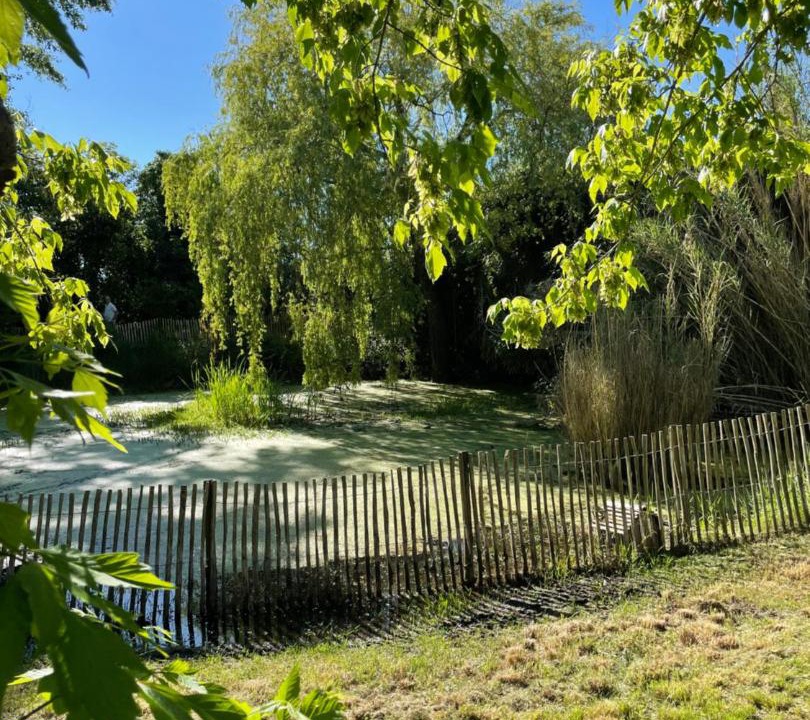 Photo of Others in Saint-Vivien-de-Medoc